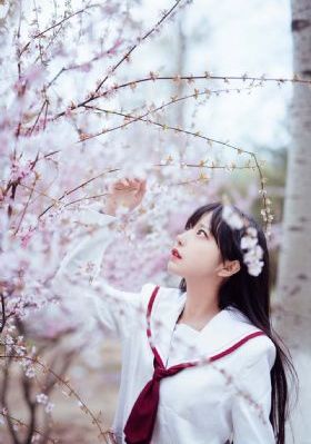 97久久久精品综合88久久_1080P完整在线观看